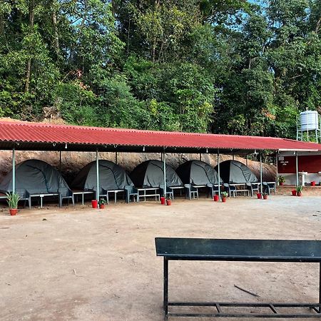 ホテル The Nest Bettathur Coorg Campsite マディケーリ エクステリア 写真